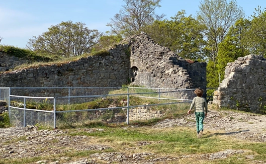 Museum Burcht van Longe