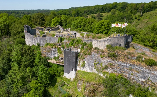 Domaine de la palogne