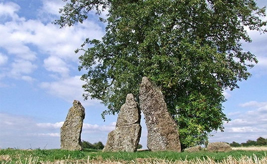 Menhirs d'Oppagne