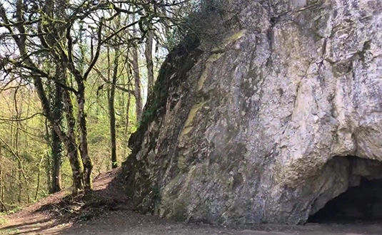 Grotte du Coléoptère